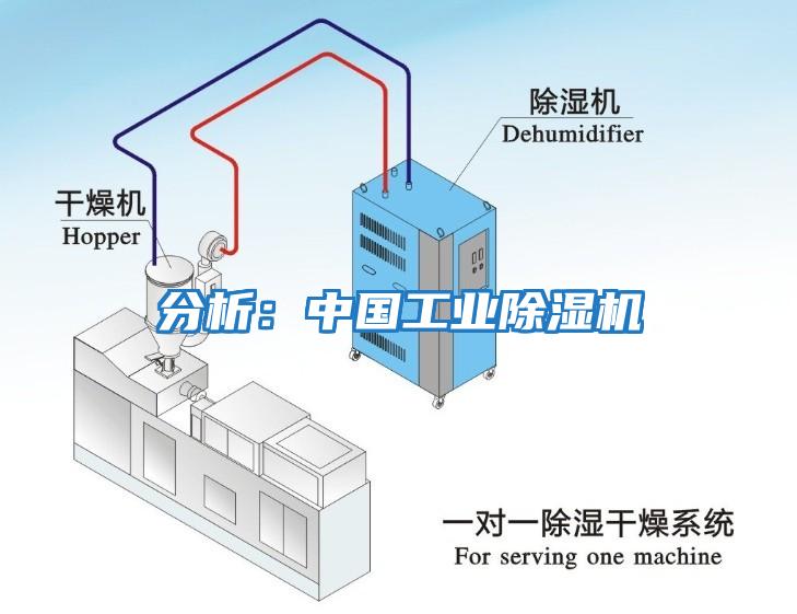 分析：中國工業除濕機
