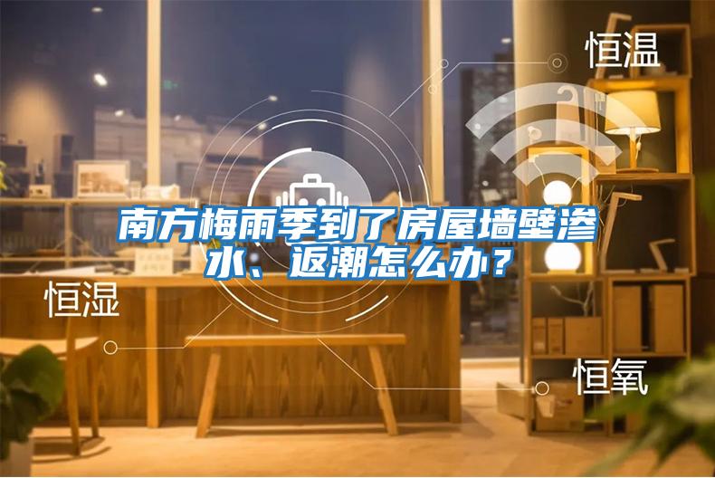 南方梅雨季到了房屋墻壁滲水、返潮怎么辦？