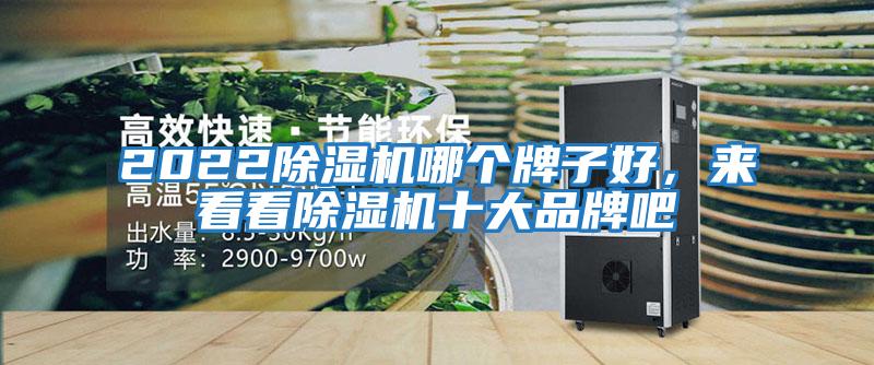 2022除濕機哪個牌子好,來看看除濕機十大品牌吧
