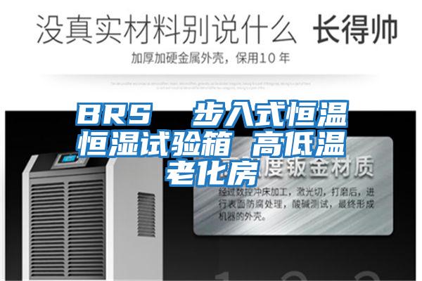 BRS  步入式恒溫恒濕試驗箱 高低溫老化房