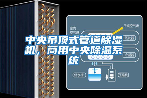 中央吊頂式管道除濕機,商用中央除濕系統