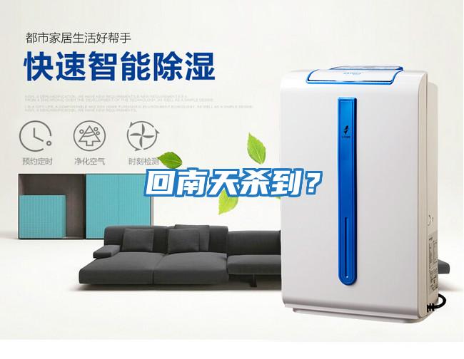 回南天殺到？
