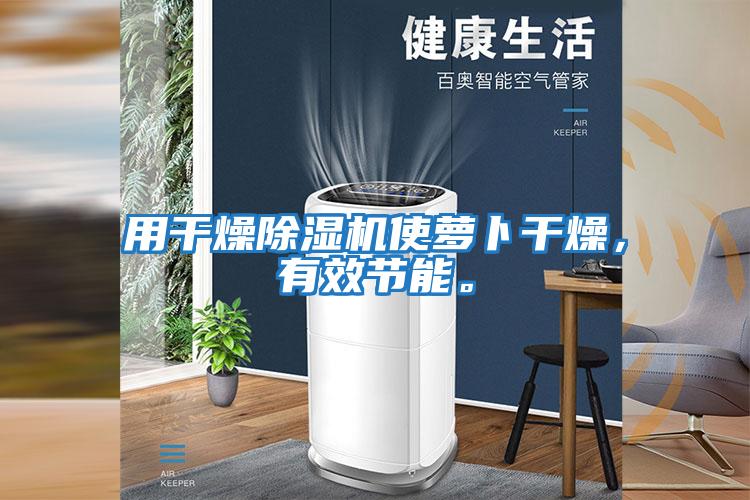 用干燥除濕機使蘿卜干燥，有效節能。