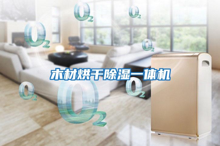 木材烘干除濕一體機