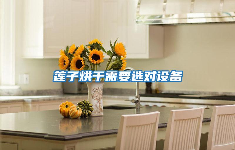 蓮子烘干需要選對設備