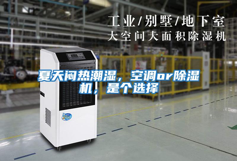 夏天悶熱潮濕,空調or除濕機,是個選擇