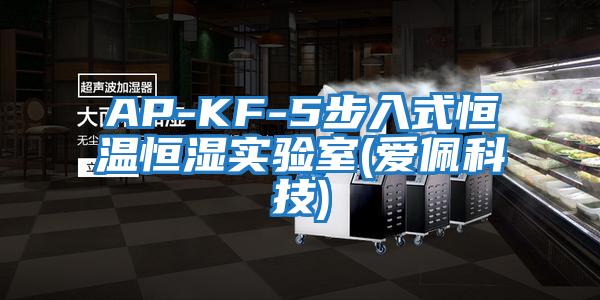 AP-KF-5步入式恒溫恒濕實驗室(愛佩科技)