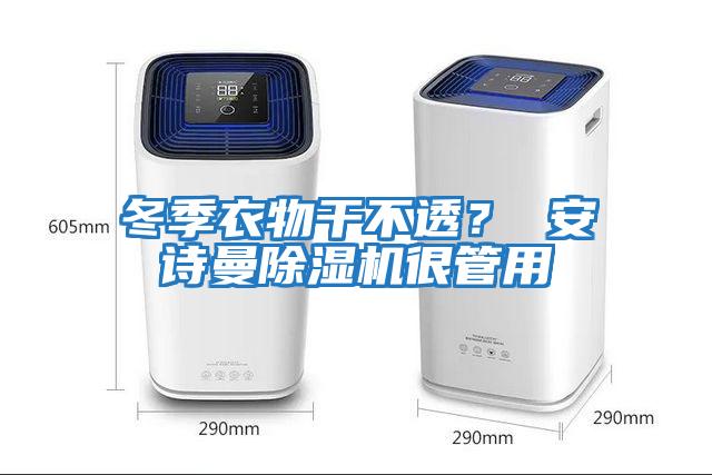 冬季衣物干不透？ 安詩曼除濕機很管用