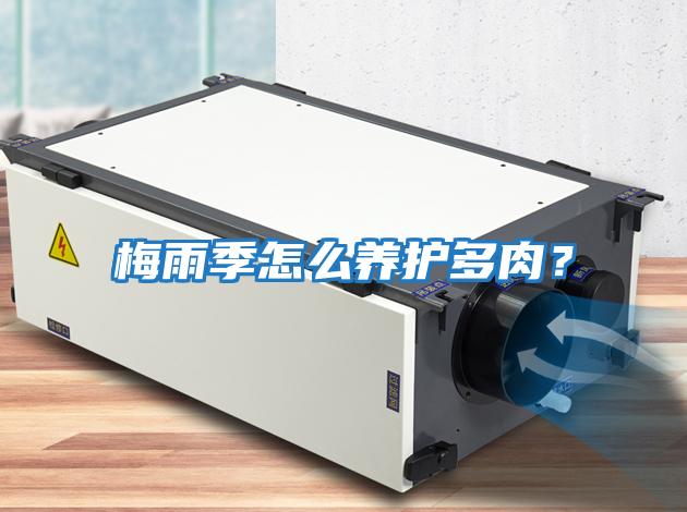 梅雨季怎么養(yǎng)護多肉？