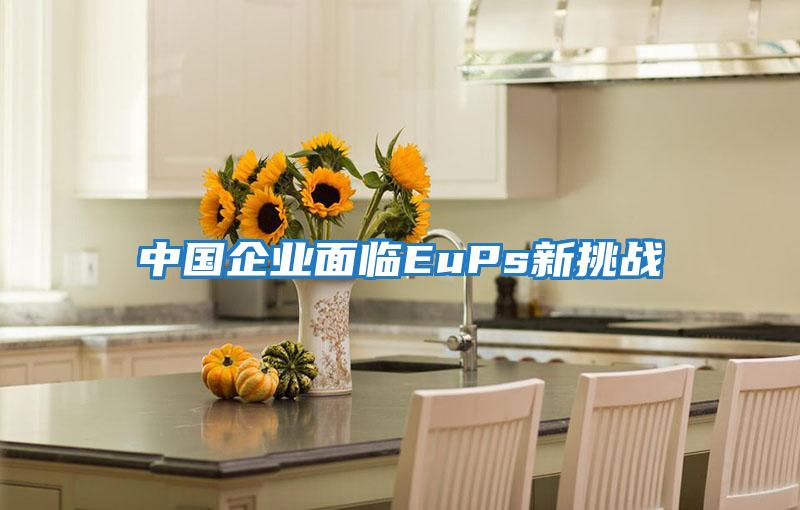 中國企業面臨EuPs新挑戰