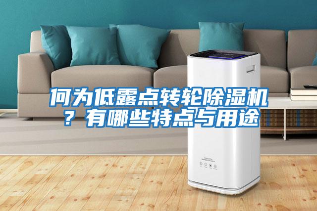 何為低露點轉輪除濕機?有哪些特點與用途