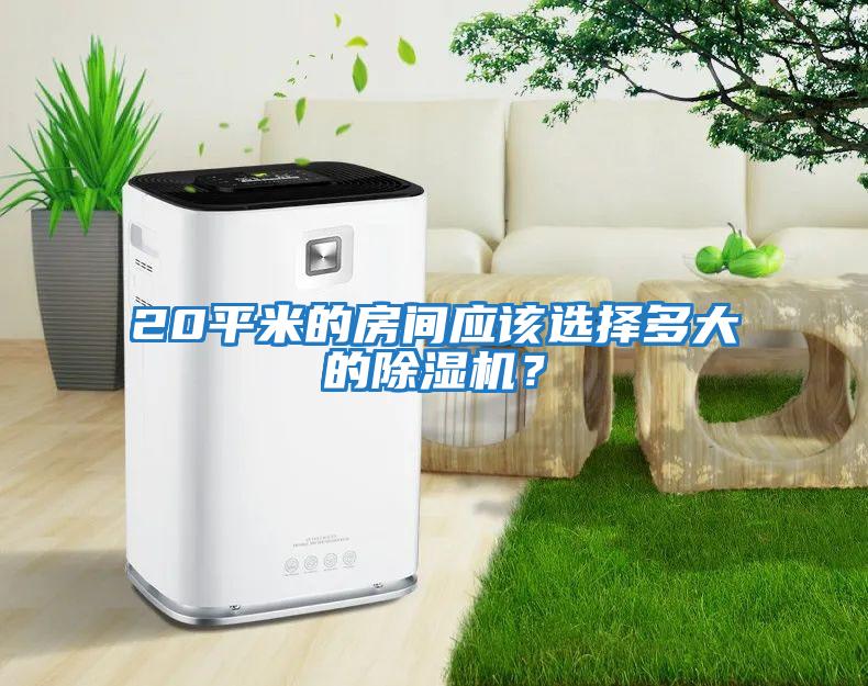 20平米的房間應(yīng)該選擇多大的除濕機(jī)？