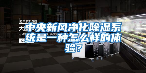 中央新風凈化除濕系統是一種怎么樣的體驗？