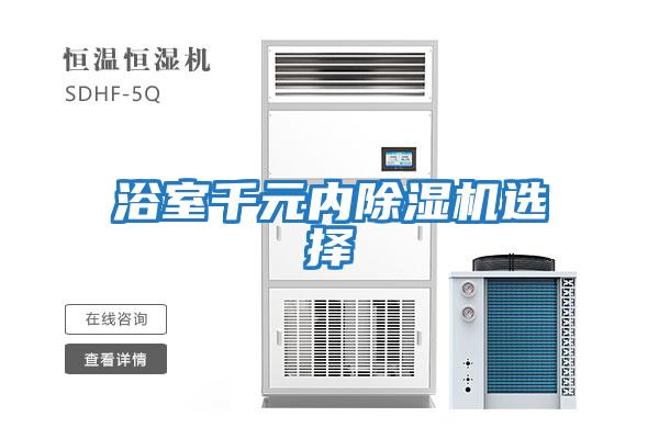 浴室千元內除濕機選擇