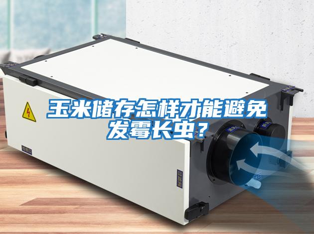 玉米儲存怎樣才能避免發霉長蟲？
