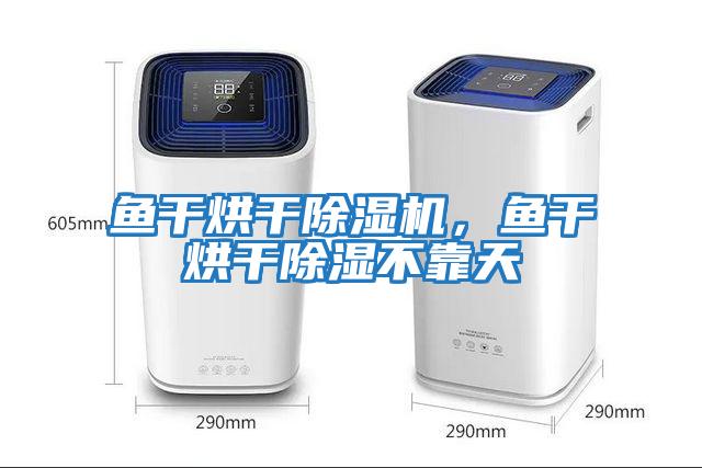 魚干烘干除濕機,魚干烘干除濕不靠天