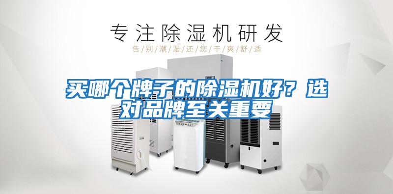 買哪個牌子的除濕機好？選對品牌至關重要