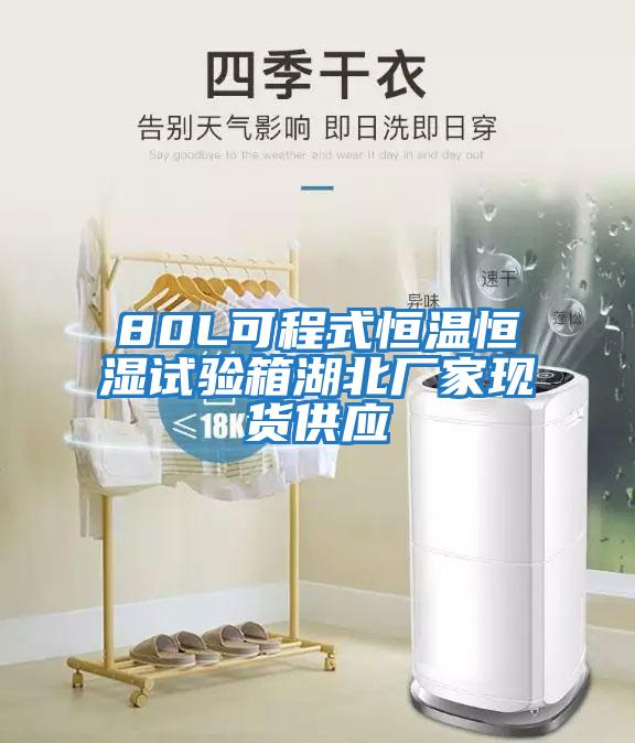 80L可程式恒溫恒濕試驗箱湖北廠家現貨供應