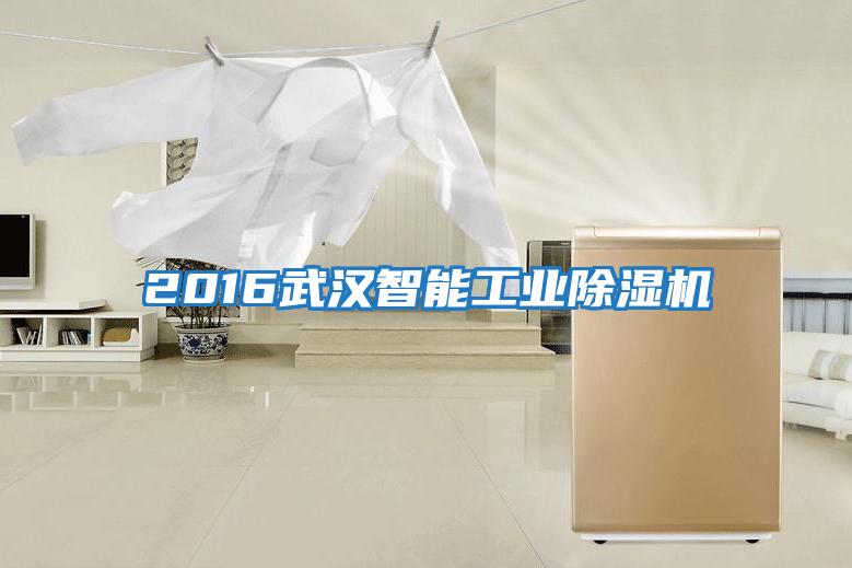 2016武漢智能工業除濕機