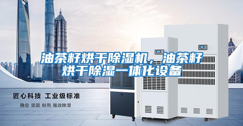 油茶籽烘干除濕機，油茶籽烘干除濕一體化設備