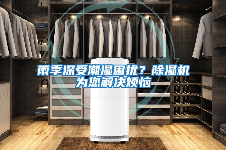 雨季深受潮濕困擾？除濕機為您解決煩惱