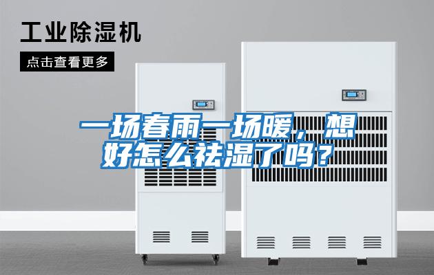 一場春雨一場暖,想好怎么祛濕了嗎?