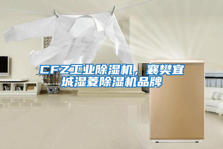 CFZ工業除濕機,襄樊宜城濕菱除濕機品牌