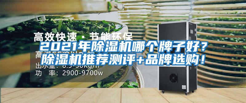 2021年除濕機哪個牌子好？除濕機推薦測評+品牌選購！