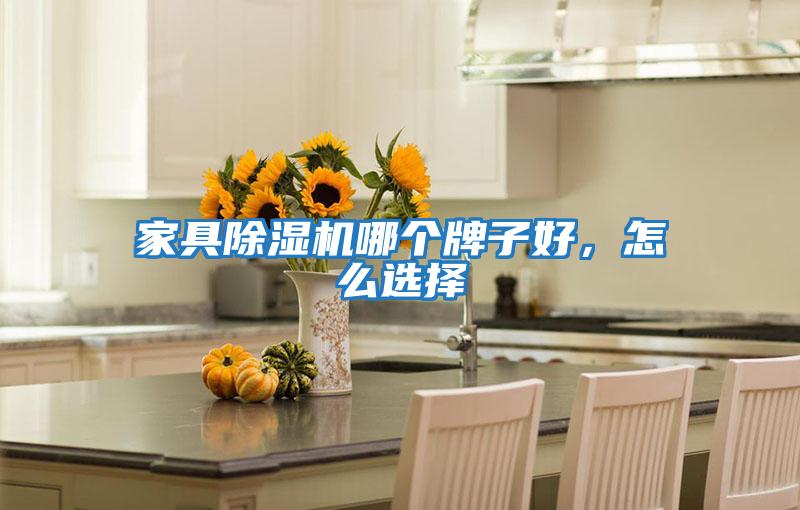 家具除濕機哪個牌子好,怎么選擇