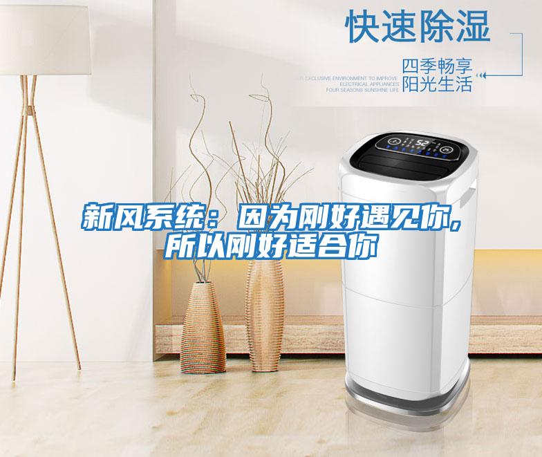 新風系統：因為剛好遇見你,所以剛好適合你