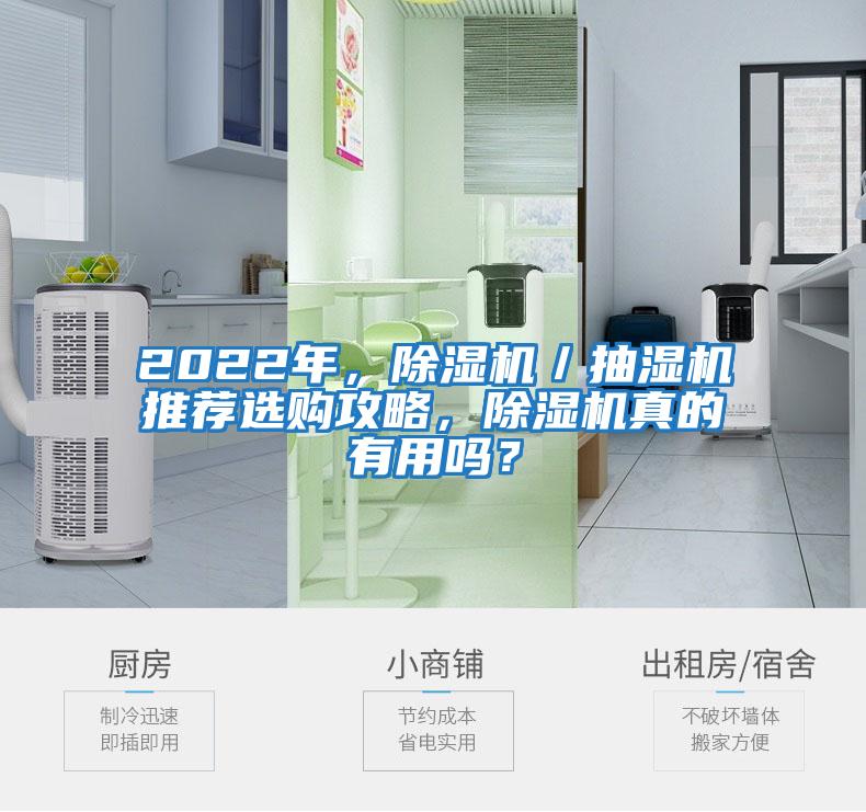 2022年，除濕機(jī)／抽濕機(jī)推薦選購攻略，除濕機(jī)真的有用嗎？
