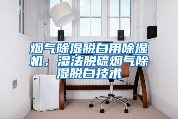 煙氣除濕脫白用除濕機，濕法脫硫煙氣除濕脫白技術