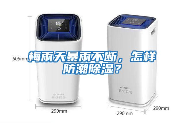 梅雨天暴雨不斷，怎樣防潮除濕？
