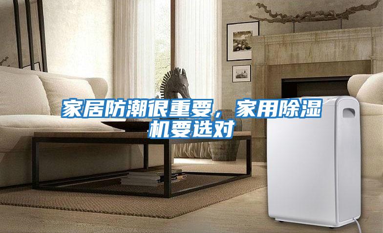 家居防潮很重要，家用除濕機要選對