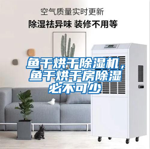 魚干烘干除濕機，魚干烘干房除濕必不可少