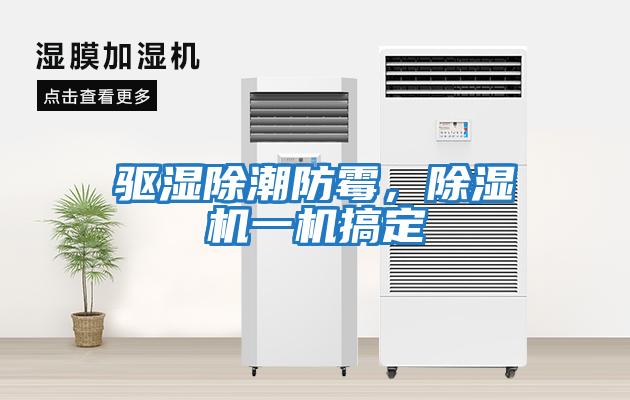 驅(qū)濕除潮防霉，除濕機一機搞定