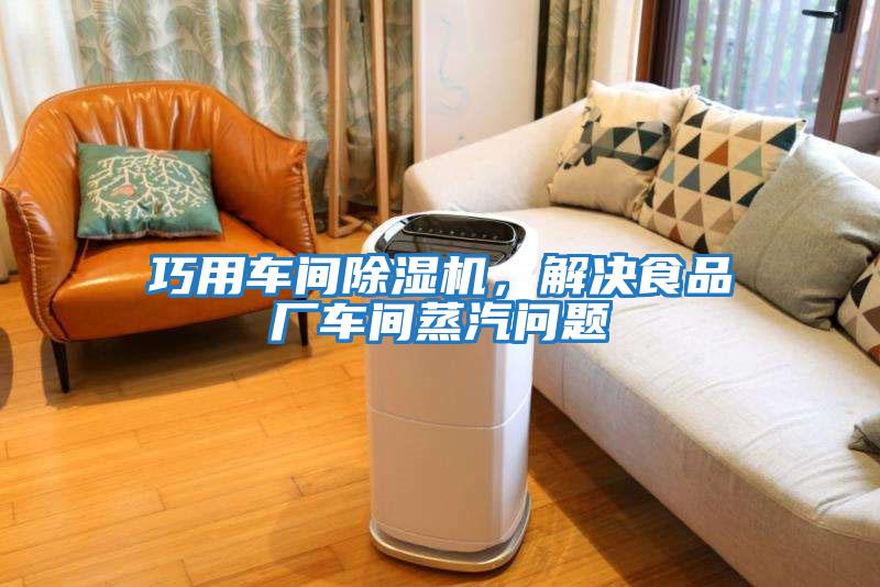 巧用車間除濕機，解決食品廠車間蒸汽問題