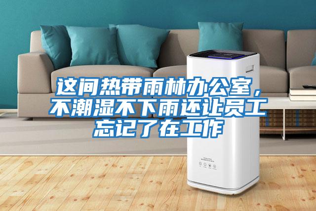 這間熱帶雨林辦公室，不潮濕不下雨還讓員工忘記了在工作