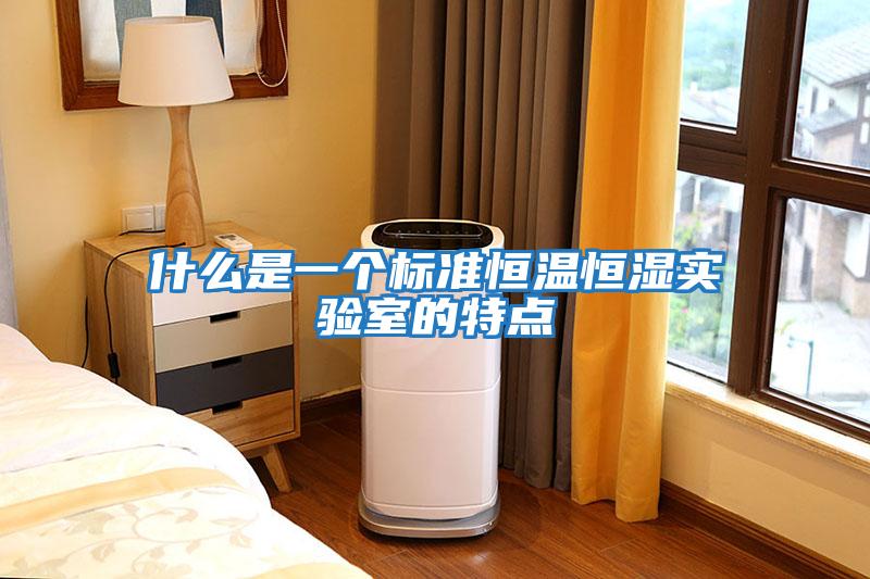 什么是一個標準恒溫恒濕實驗室的特點