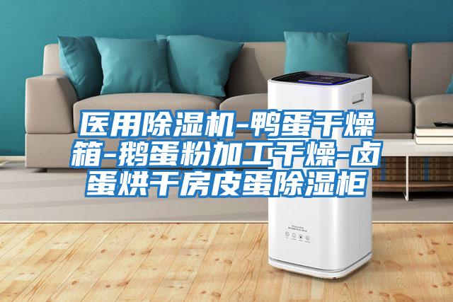 醫用除濕機-鴨蛋干燥箱-鵝蛋粉加工干燥-鹵蛋烘干房皮蛋除濕柜