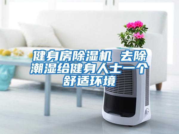 健身房除濕機 去除潮濕給健身人士一個舒適環境