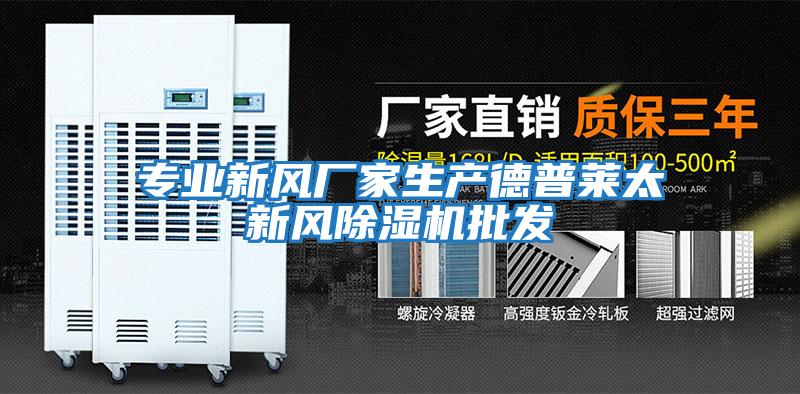 專業新風廠家生產德普萊太新風除濕機批發