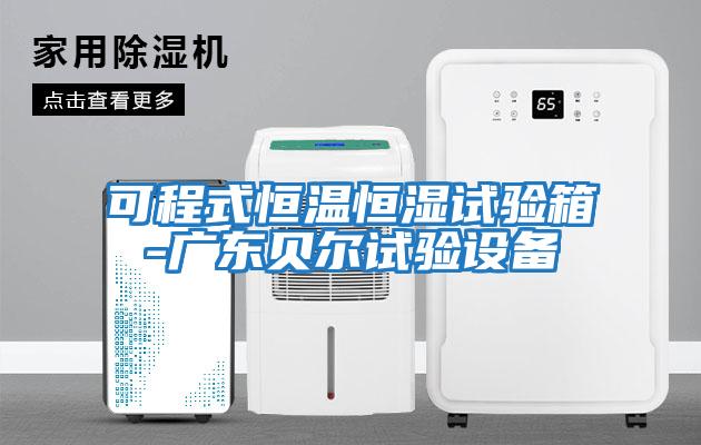 可程式恒溫恒濕試驗箱-廣東貝爾試驗設(shè)備
