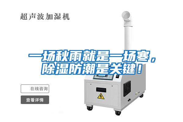 一場秋雨就是一場寒，除濕防潮是關鍵！