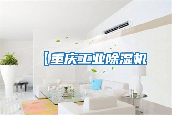 【重慶工業除濕機