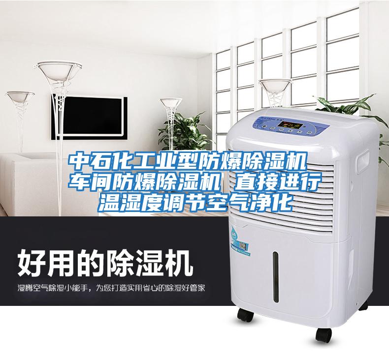 中石化工業型防爆除濕機 車間防爆除濕機 直接進行溫濕度調節空氣凈化