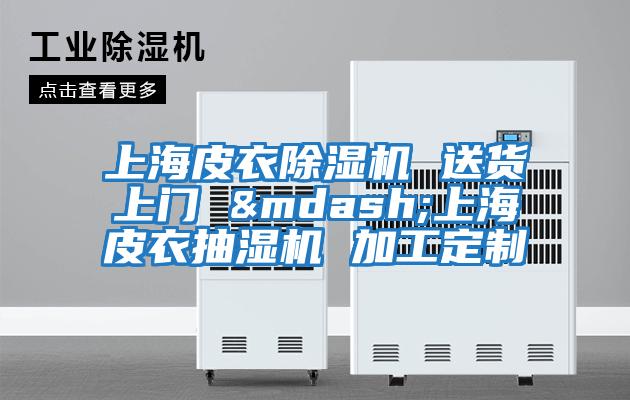 上海皮衣除濕機(jī) 送貨上門 &mdash;上海皮衣抽濕機(jī) 加工定制