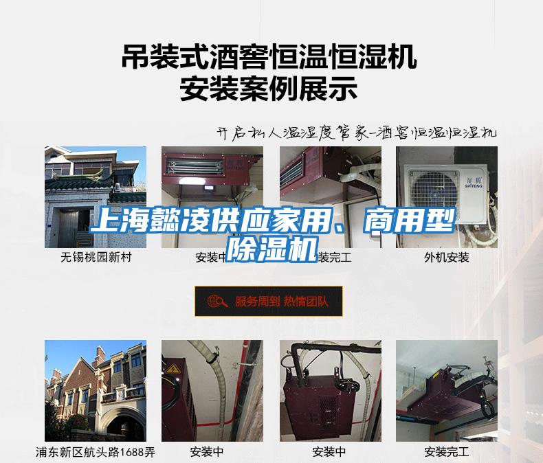 上海懿凌供應家用、商用型除濕機