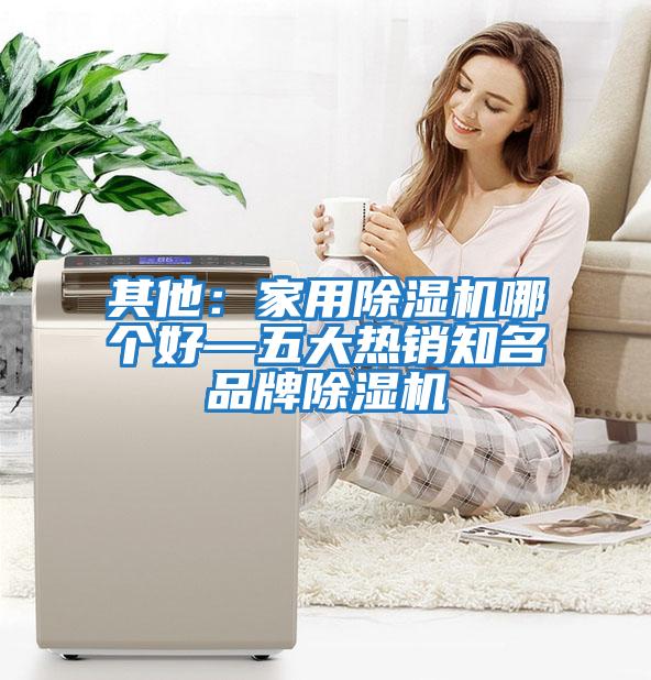 其他:家用除濕機哪個好—五大熱銷知名品牌除濕機