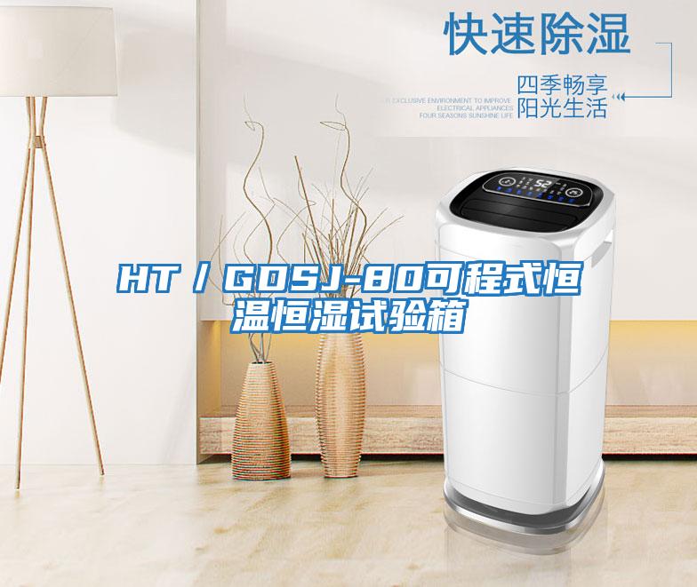 HT/GDSJ-80可程式恒溫恒濕試驗箱